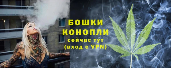 спиды Мегион