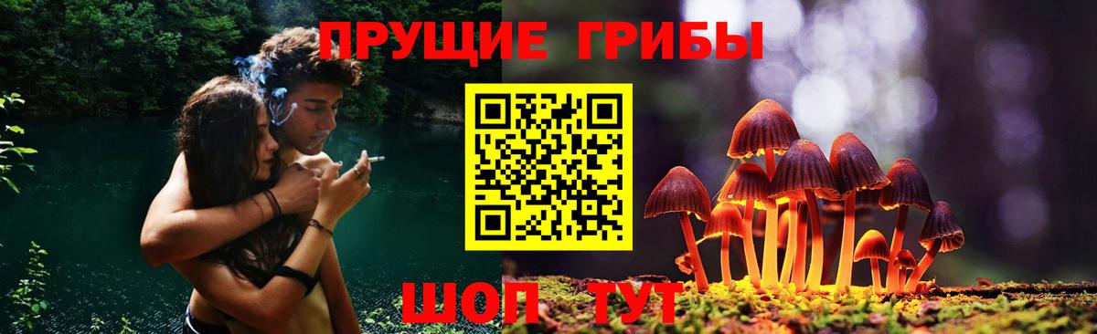 Псилоцибиновые грибы Cubensis  Галлюциногенные грибы мицелий  Вход с VPN  Усть-Джегута 